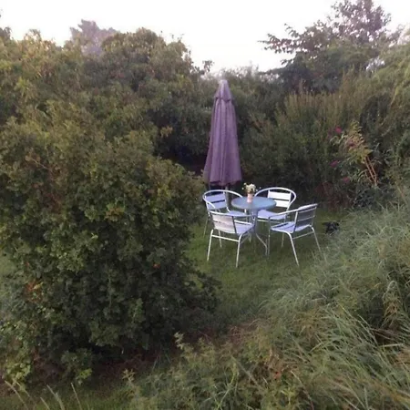 Architect-designed Summer House On Sejero Nyaraló *