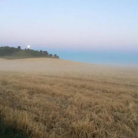 Architect-designed Summer House On Sejero Nyaraló